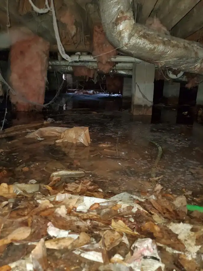 Crawl space flood assessment for Leak Detection & Repair in Cedarburg