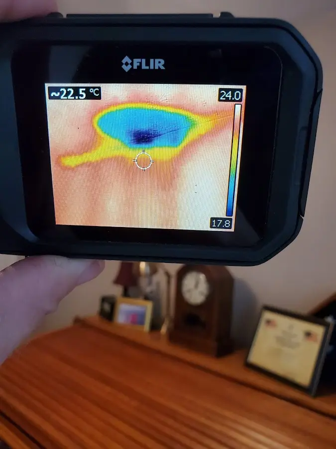 Thermal imaging inspection for water damage in Cedarburg